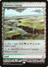 Image for Horizon Canopy (40) (Foil) [Zendikar Expeditions] - Magic: The Gathering