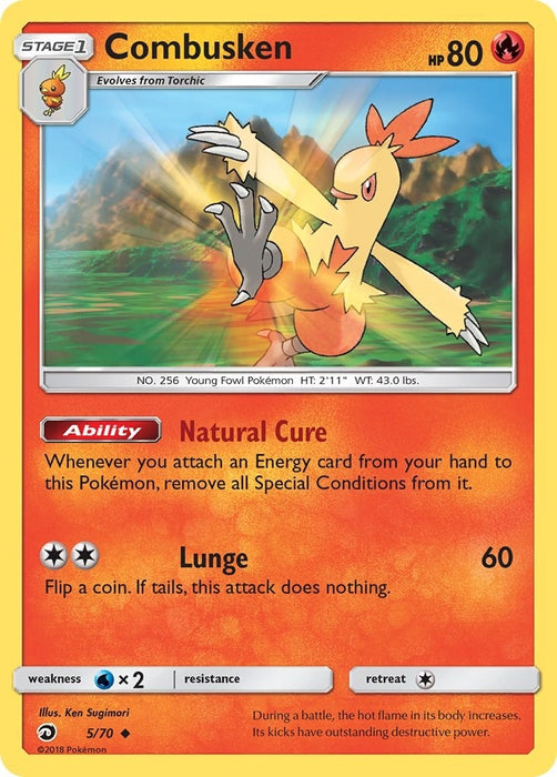 Image for Combusken (5/70) [Dragon Majesty] - Pokemon