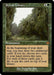 Image for Sylvan Library (Retro Frame) (350) (Foil) [Dominaria Remastered] - Magic: The Gathering