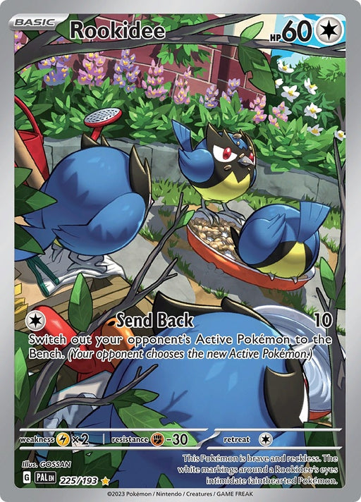 Image for Rookidee (225/193) (Holofoil) [SV02: Paldea Evolved] - Pokemon