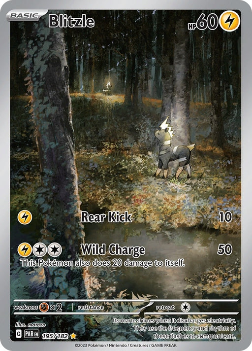 Image for Blitzle (195/182) (Holofoil) [SV04: Paradox Rift] - Pokemon