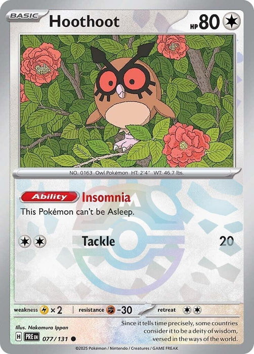 Image for Hoothoot (Master Ball Pattern) (077/131) (Holofoil) [SV: Prismatic Evolutions] - Pokemon