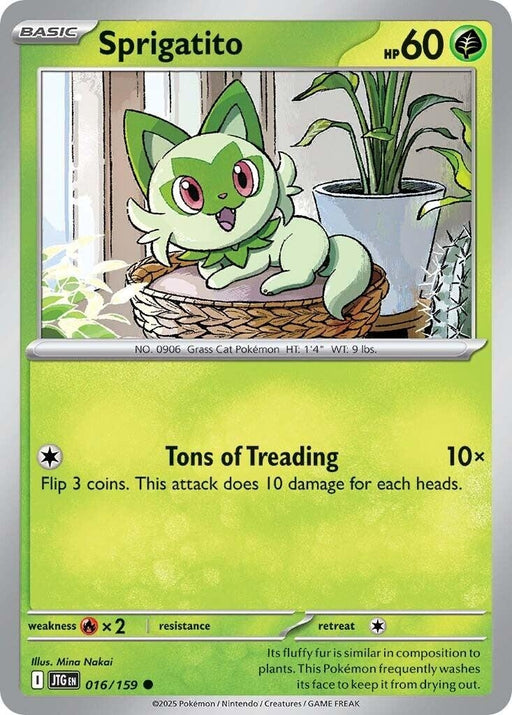 Image for Sprigatito (016/159) (Reverse Holofoil) [SV09: Journey Together] - Pokemon