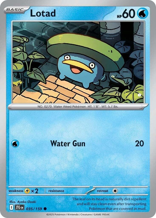 Image for Lotad (035/159) [SV09: Journey Together] - Pokemon