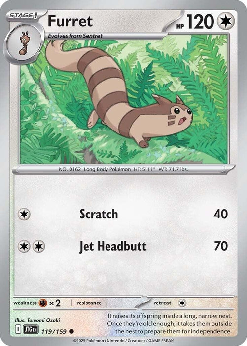Image for Furret (119/159) [SV09: Journey Together] - Pokemon