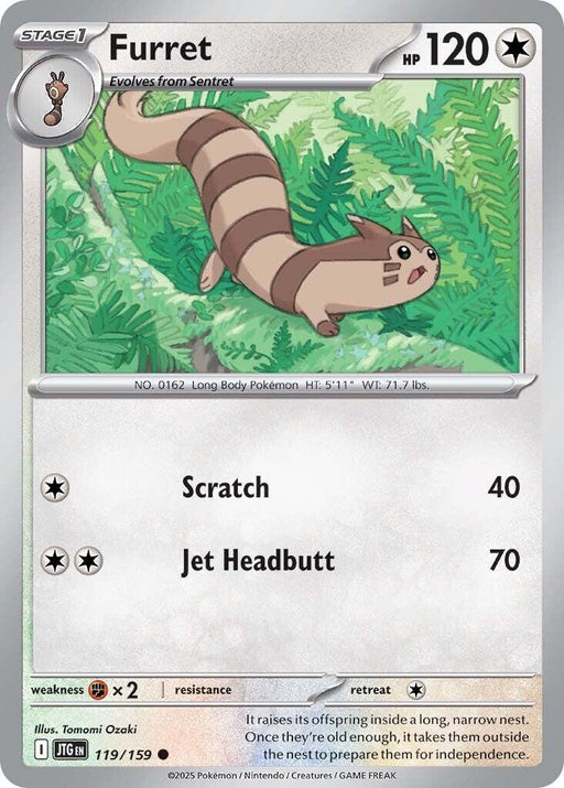 Image for Furret (119/159) [SV09: Journey Together] - Pokemon
