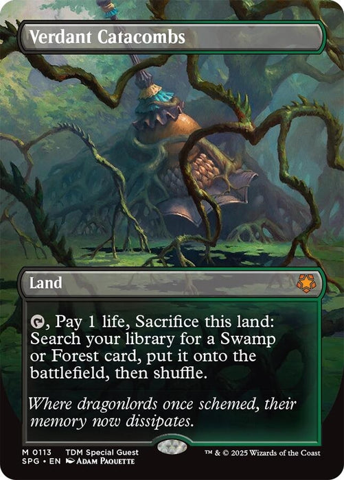 Image for Verdant Catacombs (Borderless) (113) [Special Guests] - Magic: The Gathering