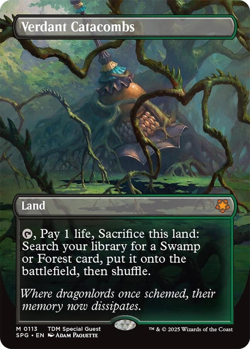 Image for Verdant Catacombs (Borderless) (113) [Special Guests] - Magic: The Gathering