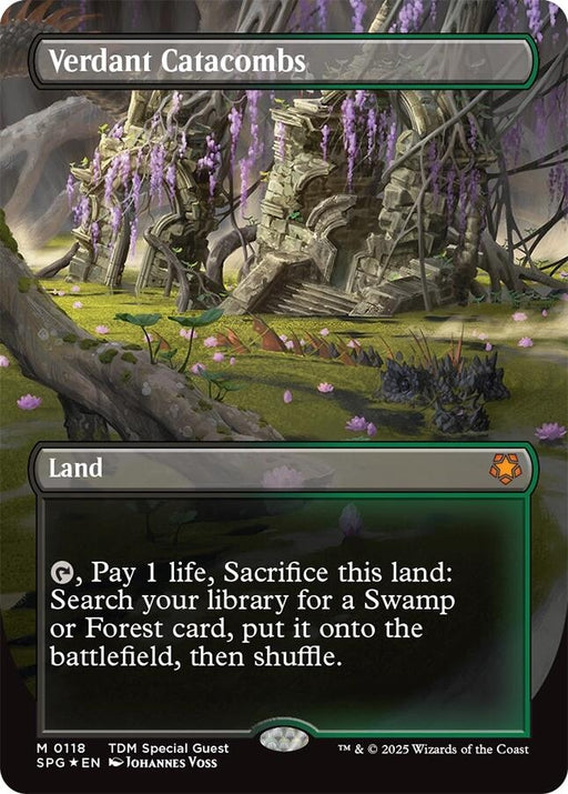 Image for Verdant Catacombs (Borderless) (Dragonscale Foil) (118) (Foil) [Special Guests] - Magic: The Gathering