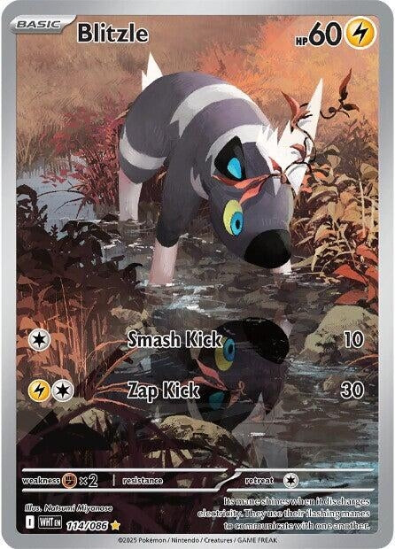 Image for Blitzle (114/086) (Holofoil) [SV: White Flare] - Pokemon