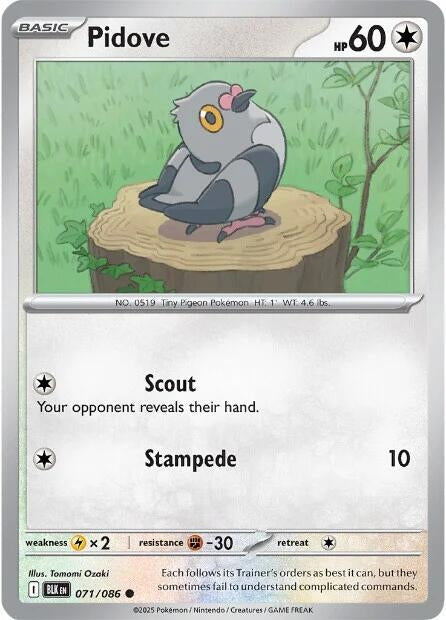 Pidove (071/086) [SV: Black Bolt]