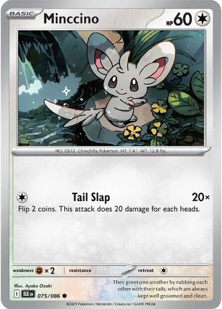 Image for Minccino (075/086) [SV: Black Bolt] - Pokemon