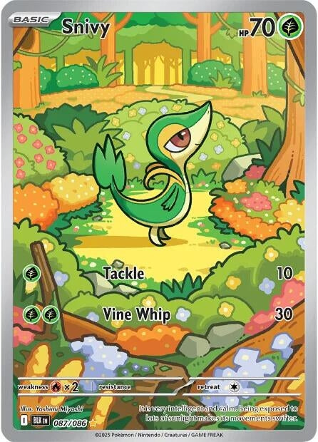 Image for Snivy (087/086) (Holofoil) [SV: Black Bolt] - Pokemon