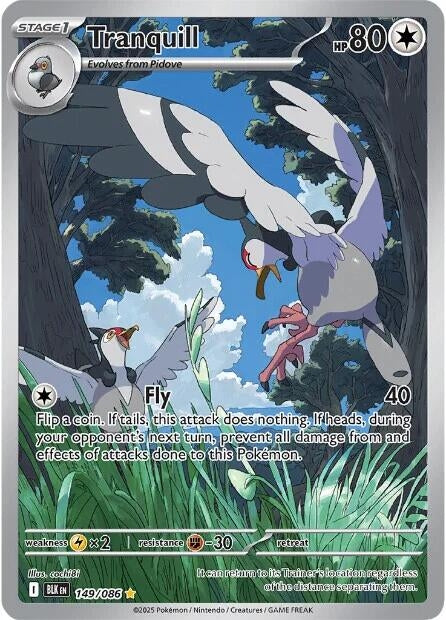 Image for Tranquill (149/086) (Holofoil) [SV: Black Bolt] - Pokemon