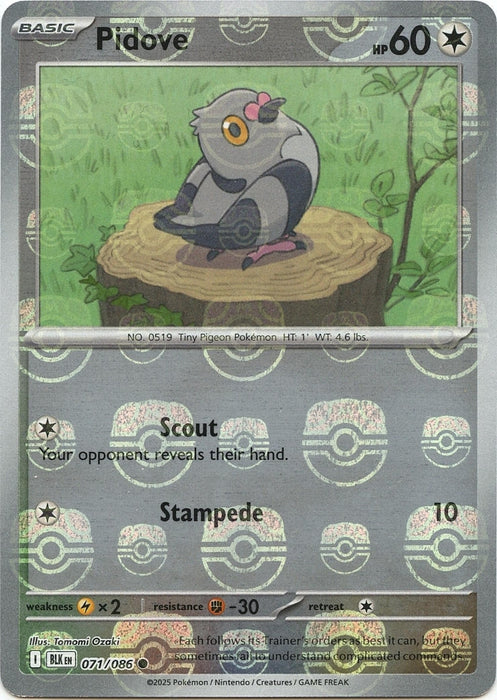 Pidove (Master Ball Pattern) (071/086) (Holofoil) [SV: Black Bolt]