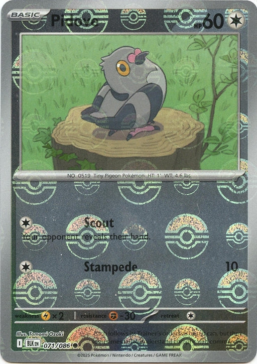 Image for Pidove (Poke Ball Pattern) (071/086) (Holofoil) [SV: Black Bolt] - Pokemon
