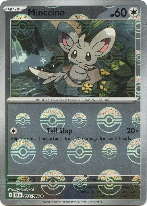 Image for Minccino (Poke Ball Pattern) (075/086) (Holofoil) [SV: Black Bolt] - Pokemon