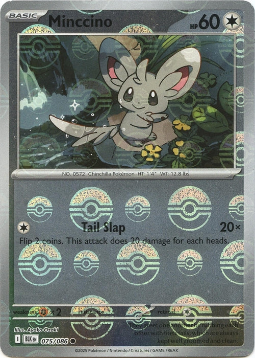 Minccino (Poke Ball Pattern) (075/086) (Holofoil) [SV: Black Bolt]