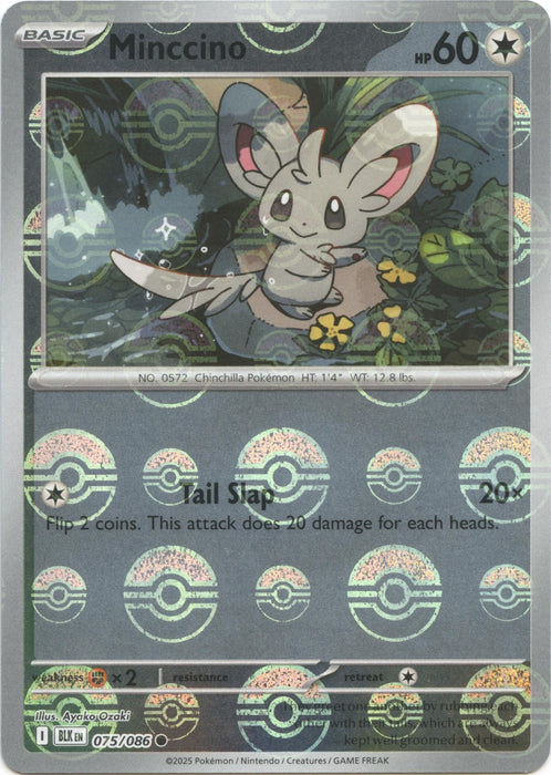 Cinccino (Poke Ball Pattern) (076/086) (Holofoil) [SV: Black Bolt]