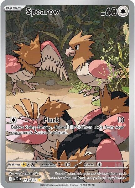 Image for Spearow (151/132) (Holofoil) [ME01: Mega Evolution] - Pokemon