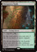 Image for Overgrown Tomb (266) (Foil) [Lorwyn Eclipsed] - Magic: The Gathering