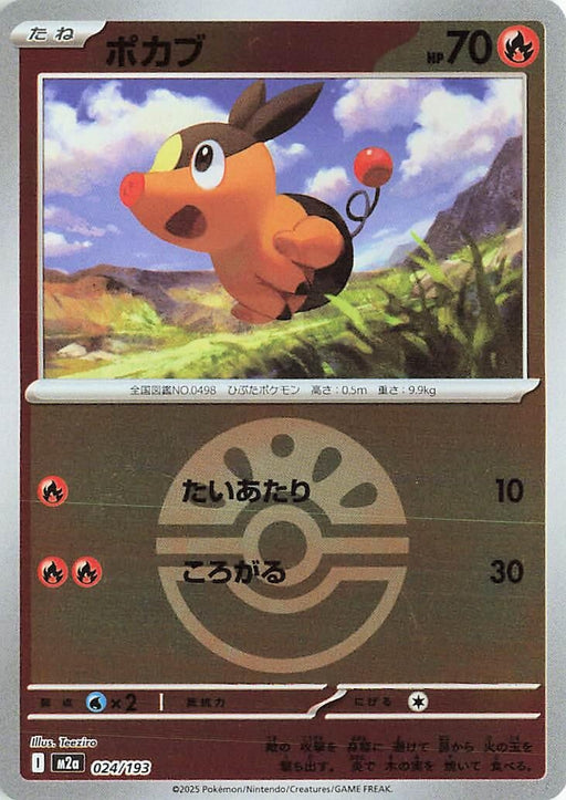 Image for Japanese Pokemon Japan - Tepig (Friend Ball Pattern) (024/193) (Holofoil) [M2a: High Class Pack: MEGA Dream ex] - Pokemon Japan