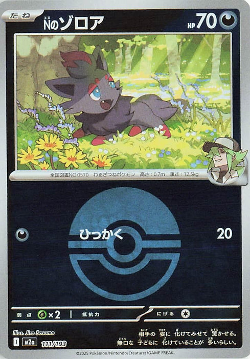 Japanese Pokemon Japan - N's Zorua (Poke Ball Pattern) (111/193) (Holofoil) [M2a: High Class Pack: MEGA Dream ex]