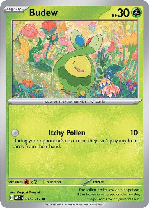 Image for Budew (016/217) [ME: Ascended Heroes] - Pokemon