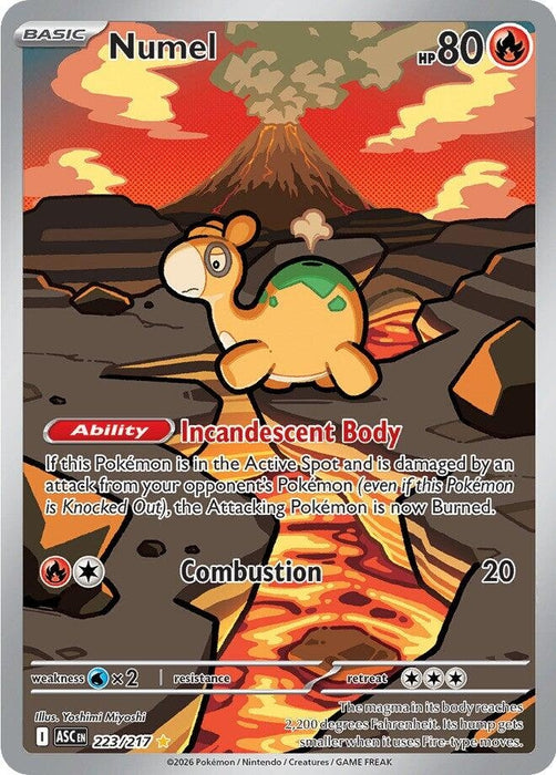 Image for Numel (223/217) (Holofoil) [ME: Ascended Heroes] - Pokemon