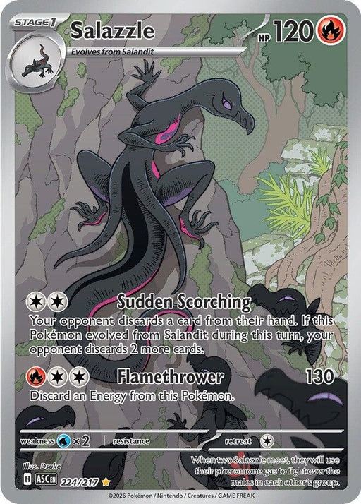 Image for Salazzle (224/217) (Holofoil) [ME: Ascended Heroes] - Pokemon