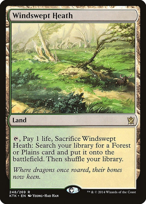 Image for Windswept Heath (248) [Khans of Tarkir] - Magic: The Gathering