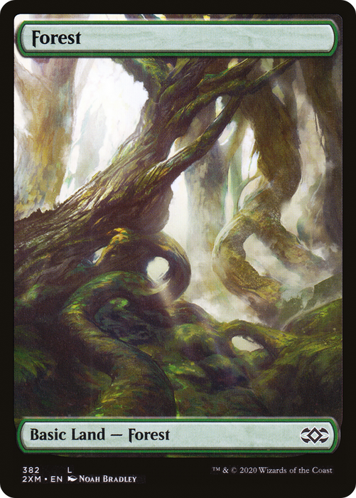 Forest [2XM-382] Foil - Double Masters